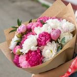 Маленькое фото 1: Букет из 50 ярко-розовых и белых пионов микс в крафте