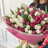 Маленькое фото 2: Букет из 150 белых тюльпанов и 151 малинового тюльпана