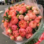 Маленькое фото 1: Букет из 50 коралловых пионов в пленке