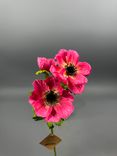 Фото флориста 1: Анемон Искусственный 56 см Розовый
