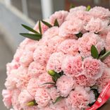 Маленькое фото 2: Весенний акцент: 50 нежно-розовых гвоздик с зеленью