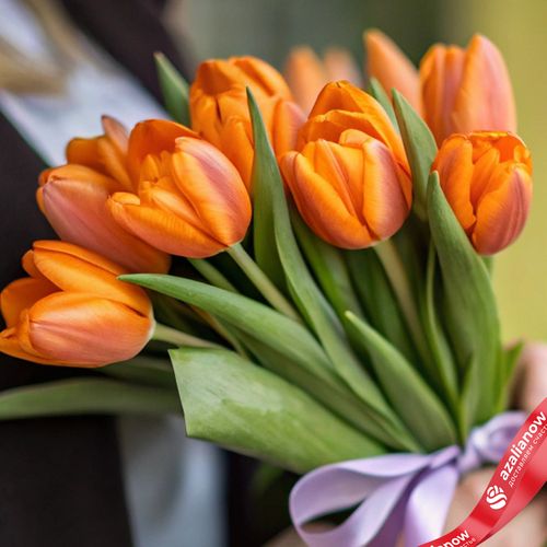 Фото 3: 11 оранжевых тюльпанов, Россия