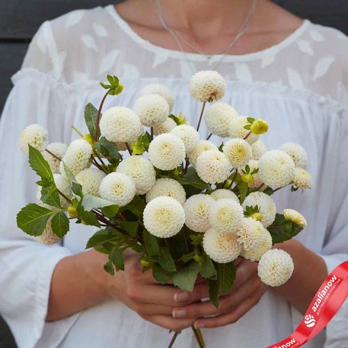 Фото 3: Георгин Мини Помпон Смол Ворлд (Mini Pompon Small World)