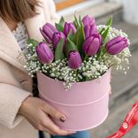 Маленькое фото 1: Букет из 9 фиолетовых тюльпанов и гипсофилы в розовой коробке