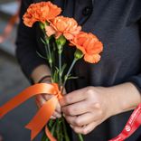 Маленькое фото 1: Букет из 3 оранжевых гвоздик с лентой сорта Диантус, Голландия