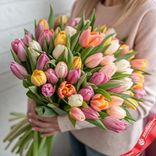 Маленькое фото 1: Яркий микс из 60 тюльпанов в пастельных оттенках, Голландия