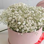 Маленькое фото 2: Букет из 9 гипсофил в розовой коробке