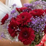 Маленькое фото 2: Букет из 9 красных хризантем и лавандовой гипсофилы «Тайна сердца»