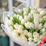 Маленькое фото 2: Букет из 60 кремово-белых тюльпанов в нежной пленке