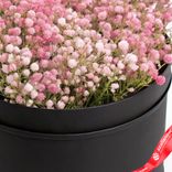 Маленькое фото 3: Букет из 9 розовых гипсофил в черной коробке