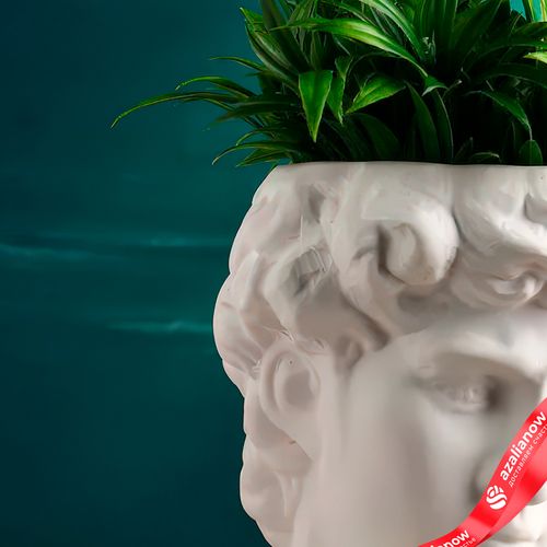 Фото 4: Горшок (Кашпо) — ваза «Голова Давида», белое, 22х16х14 см