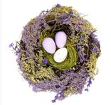 Фото флориста 1: Гнездо с яйцами, D17см, сиреневый