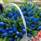 Маленькое фото 2: Букет из 151 голубого тюльпана в корзине, Россия