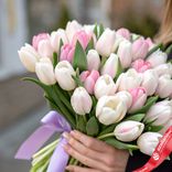 Маленькое фото 2: 51 бело розовый тюльпан, Россия
