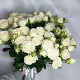 Фото флориста 2: Букет из 25 кустовых пионовидных белых роз