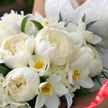 Маленькое фото 3: Букет невесты из 15 белых пионов и 10 белых нарциссов, с белой лентой