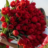 Маленькое фото 2: Букет из 400 красных тюльпанов, Россия