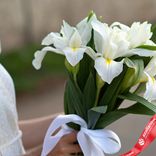 Маленькое фото 2: Букет из 7 белых ирисов с белой лентой