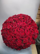 Фото флориста 1: 151 красная роза 50 см, Россия