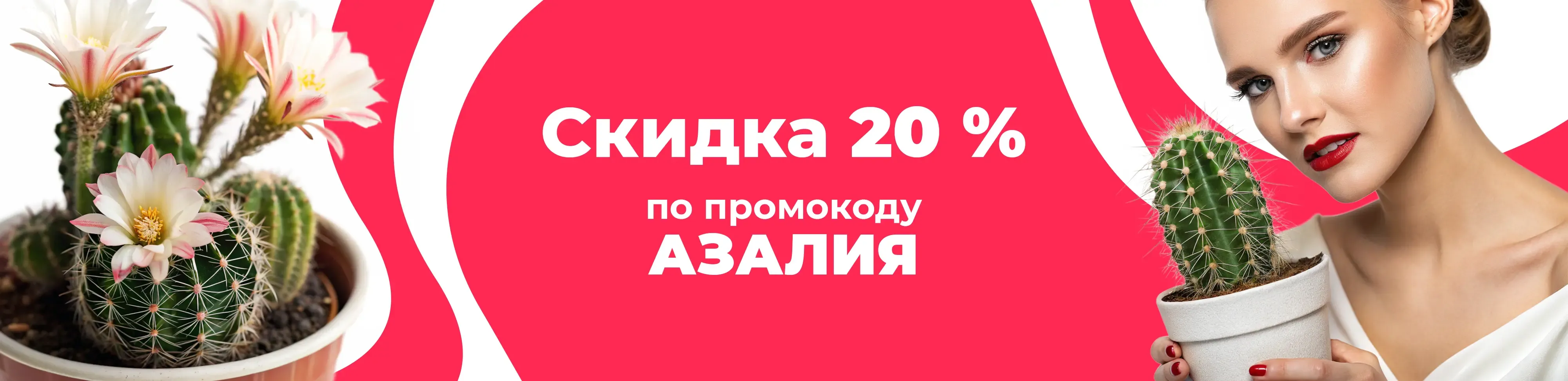 Баннер для рубрики: Кактусы