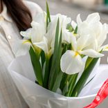 Маленькое фото 2: Букет из 7 белых ирисов в белой пленке