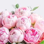 Маленькое фото 2: Букет из 9 розовых пионов с эвкалиптом в пленке