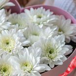 Маленькое фото 3: Композиция из 11 белых кустовых хризантем "Подарок с искренностью и преданностью"