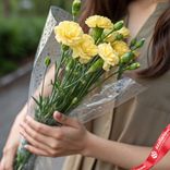 Маленькое фото 1: Букет из 3 желтых кустовых гвоздик в пленке с зеленью, Диантус, Голландия