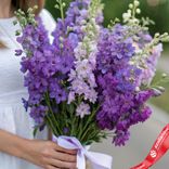 Маленькое фото 2: Букет из 25 сиреневых дельфиниумов с белой лентой