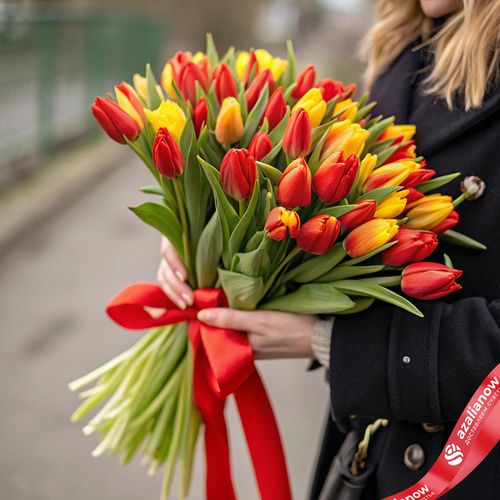 41 красно желтый тюльпан, Россия