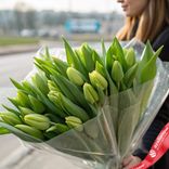 Маленькое фото 1: Букет из 25 зеленых тюльпанов в пленке, Россия