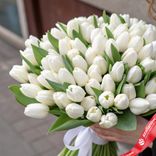 Маленькое фото 2: 101 белый тюльпан с белой лентой, Россия