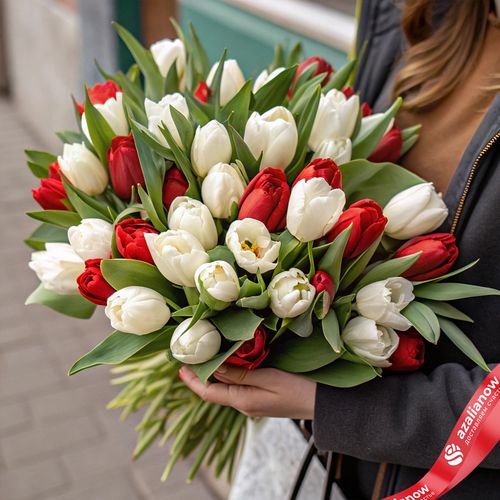 Букет из 40 белых и красных тюльпанов с зеленью