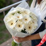 Маленькое фото 1: Букет из 17 белых гербер в белой пленке