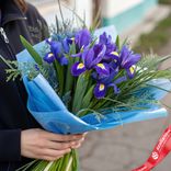 Маленькое фото 1: Букет и 7 фиолетовых ирисов с зеленью в голубой пленке