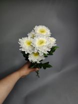 Фото флориста 6: 1 белая кустовая хризантема