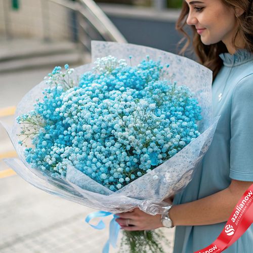 Букет из 25 синих гипсофил в пленке