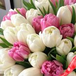 Маленькое фото 4: Букет из 45 пионовидных белых и розовых тюльпанов, Голландия