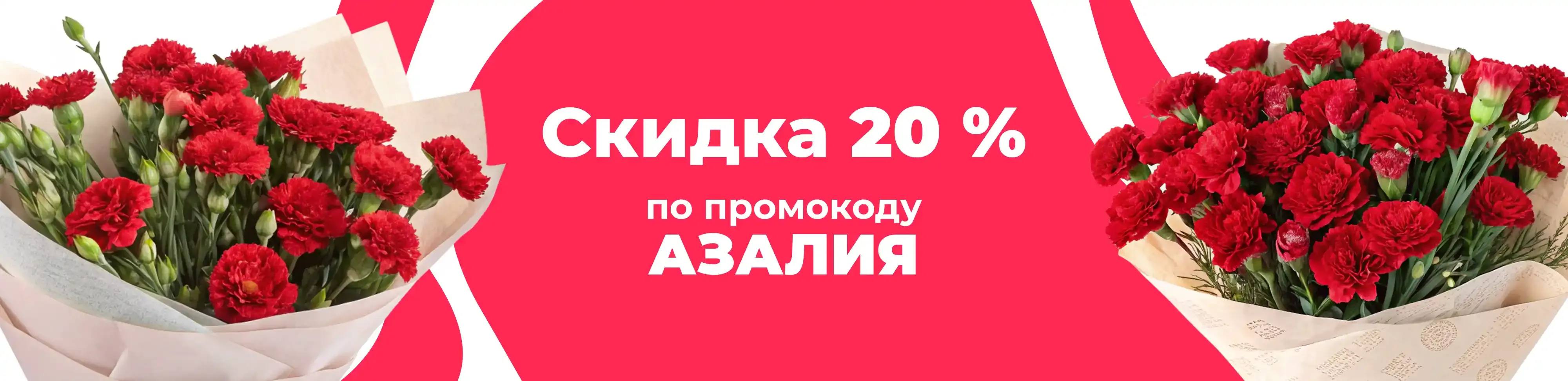Баннер для рубрики: Гвоздики кустовые