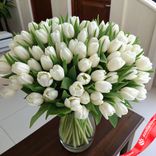 Маленькое фото 1: Букет из 55 белых тюльпанов, Россия