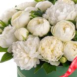 Маленькое фото 4: Букет из 20 белых пионов в зеленой коробке с лентой