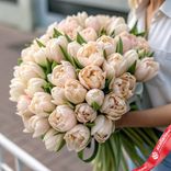 Маленькое фото 1: Букет из 50 пионовидных бежевых тюльпанов, Голландия