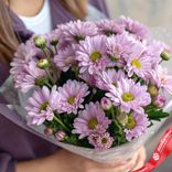 Маленькое фото 2: Букет из 9 кустовых фиолетовых хризантем в пленке, Ромашка, Голландия