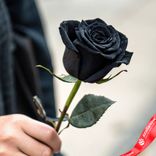 Маленькое фото 2: Роза черная, 60 см, Россия