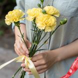 Маленькое фото 1: Букет из 3 кустовых желтых гвоздик сорта Диантус с лентой, Голландия