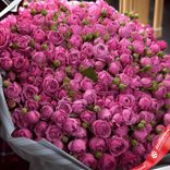 Маленькое фото 2: Букет из 101 розовой кустовой пионовидной розы