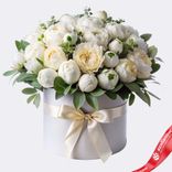 Маленькое фото 1: Букет из 20 белых пионов с эвкалиптом в коробке