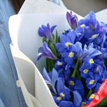 Маленькое фото 4: Букет из 35 синих ирисов в белой бумаге