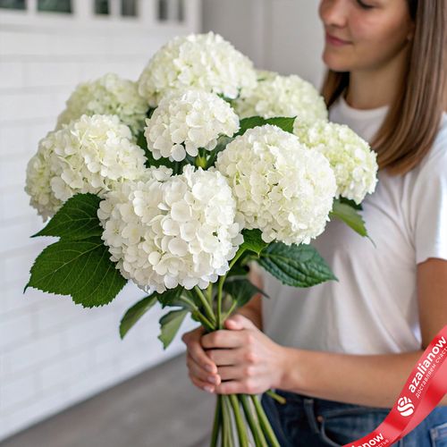 Букет из 9 белых гортензий