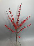 Фото флориста 1: Илекс красный, ветка (букет на Новый год)